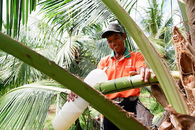 Ứng dụng công nghệ số trong tiêu thụ, phát triển sản phẩm OCOP