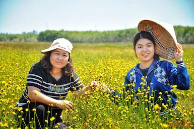 Vườn Quốc gia Tràm Chim mở tour tham quan hoa hoàng đầu ấn