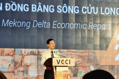 Báo cáo kinh tế năm 2022: ĐBSCL tận dụng cơ hội, đảo ngược vòng xoáy đi xuống