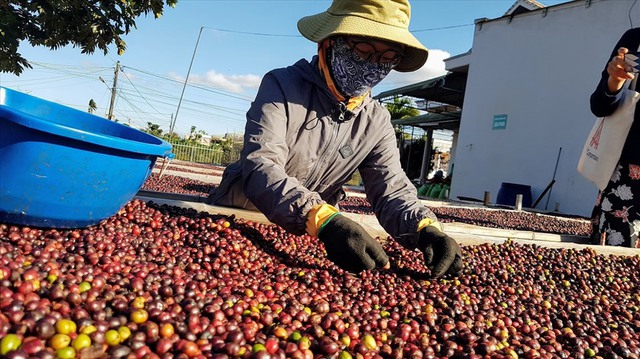 Dầu thô thế giới lao dốc xuống vùng giá thấp nhất trong năm 2022